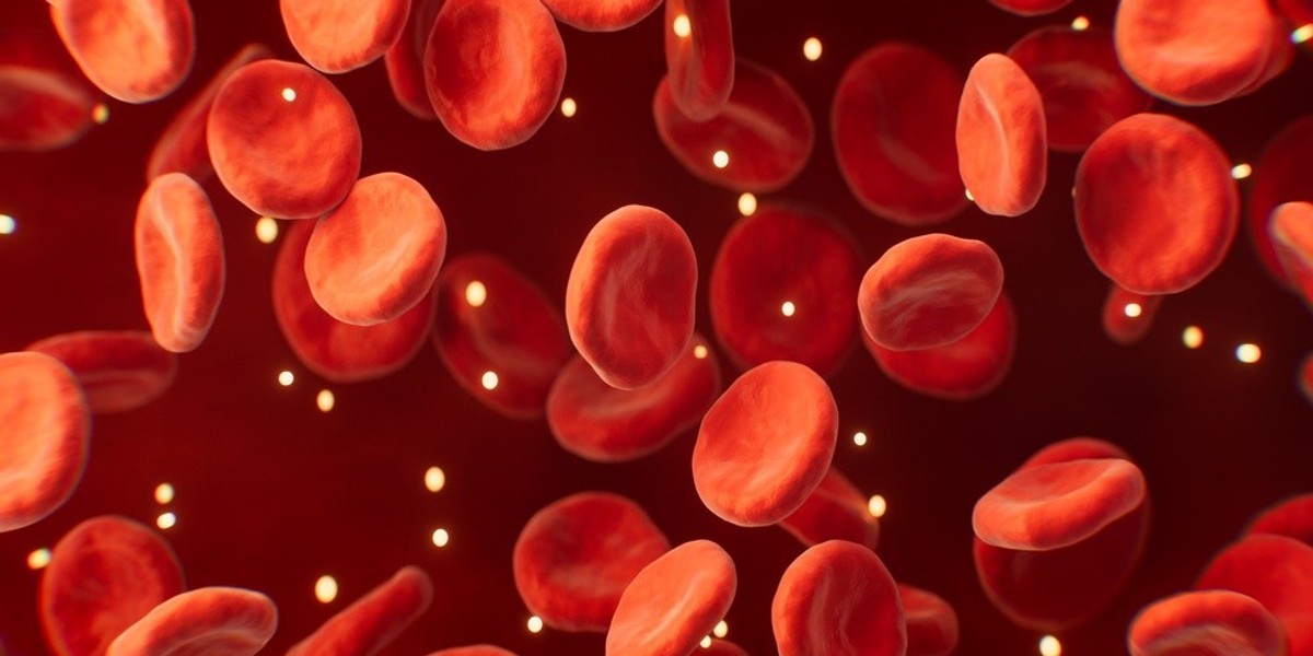A close-up of red blood cells