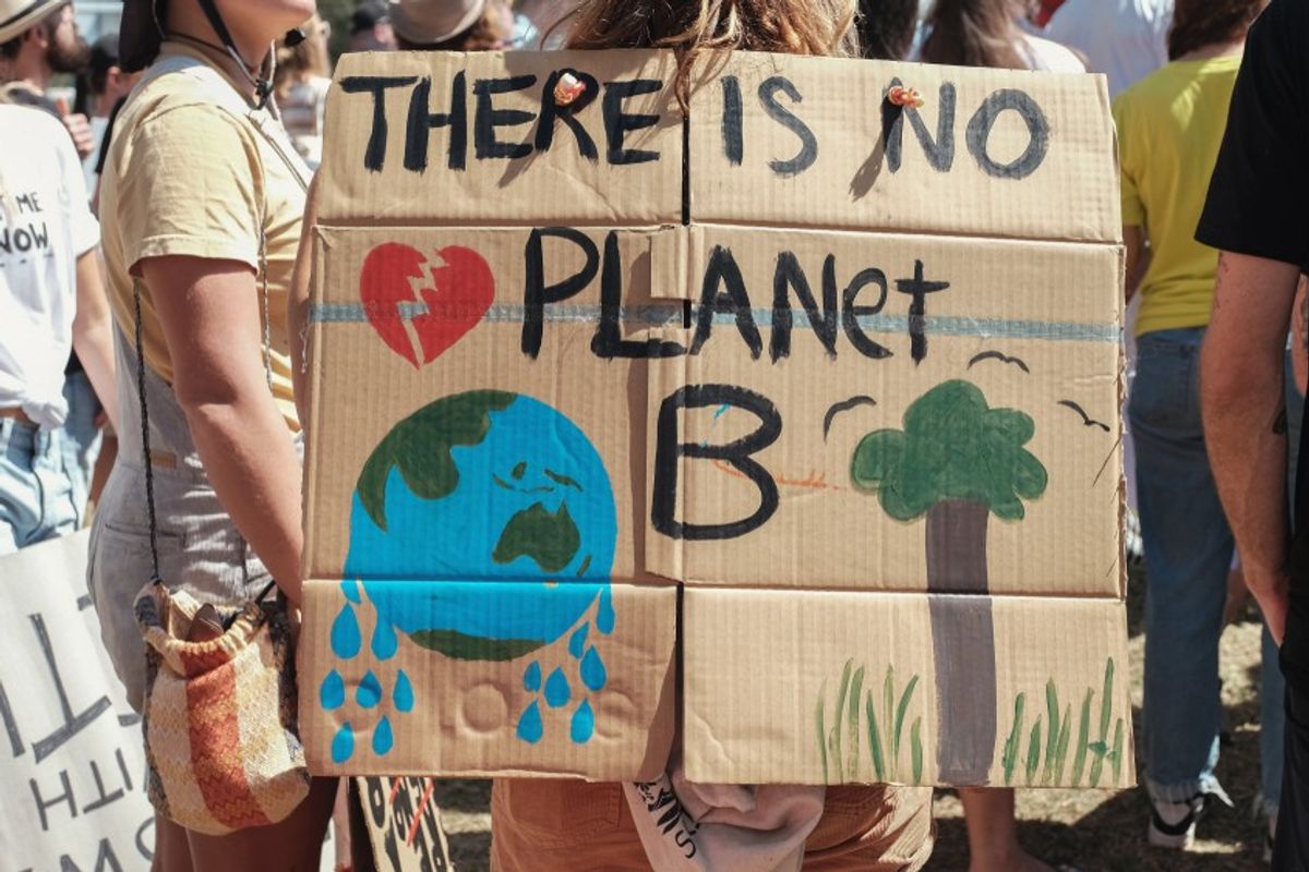 A crowd protestor holds a poster saying 'There is no Planet B'