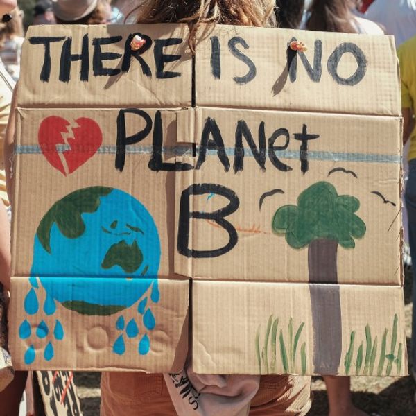 A crowd protestor holds a poster saying 'There is no Planet B'