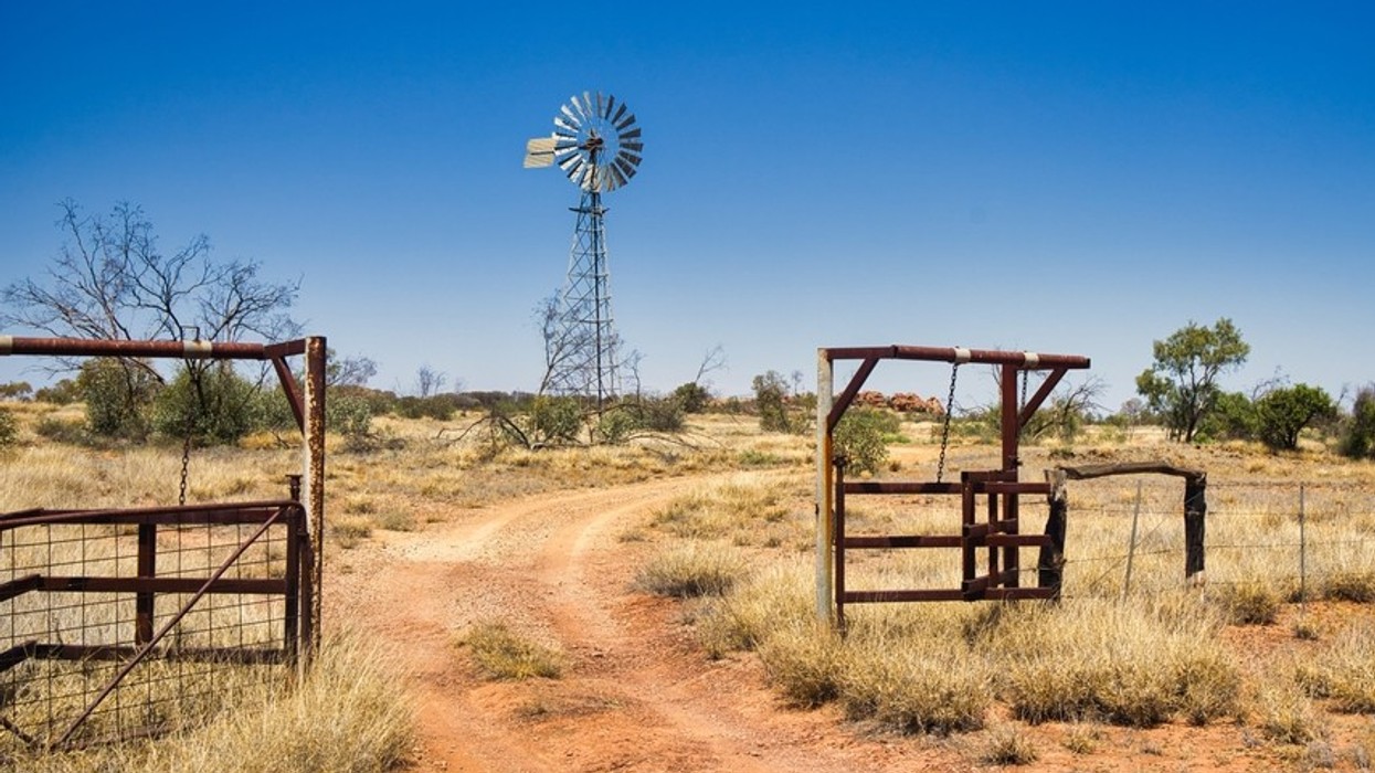 A dusty road going into a property with an iron windmill