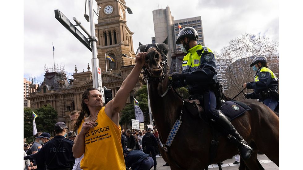A man punching a police horse outside Sydney's Town Hall.