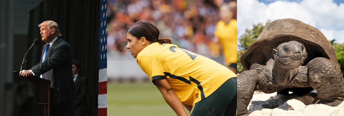 A man speaking at a lectern, a woman soccer player, a tortoise