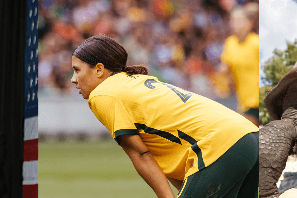 A man speaking at a lectern, a woman soccer player, a tortoise