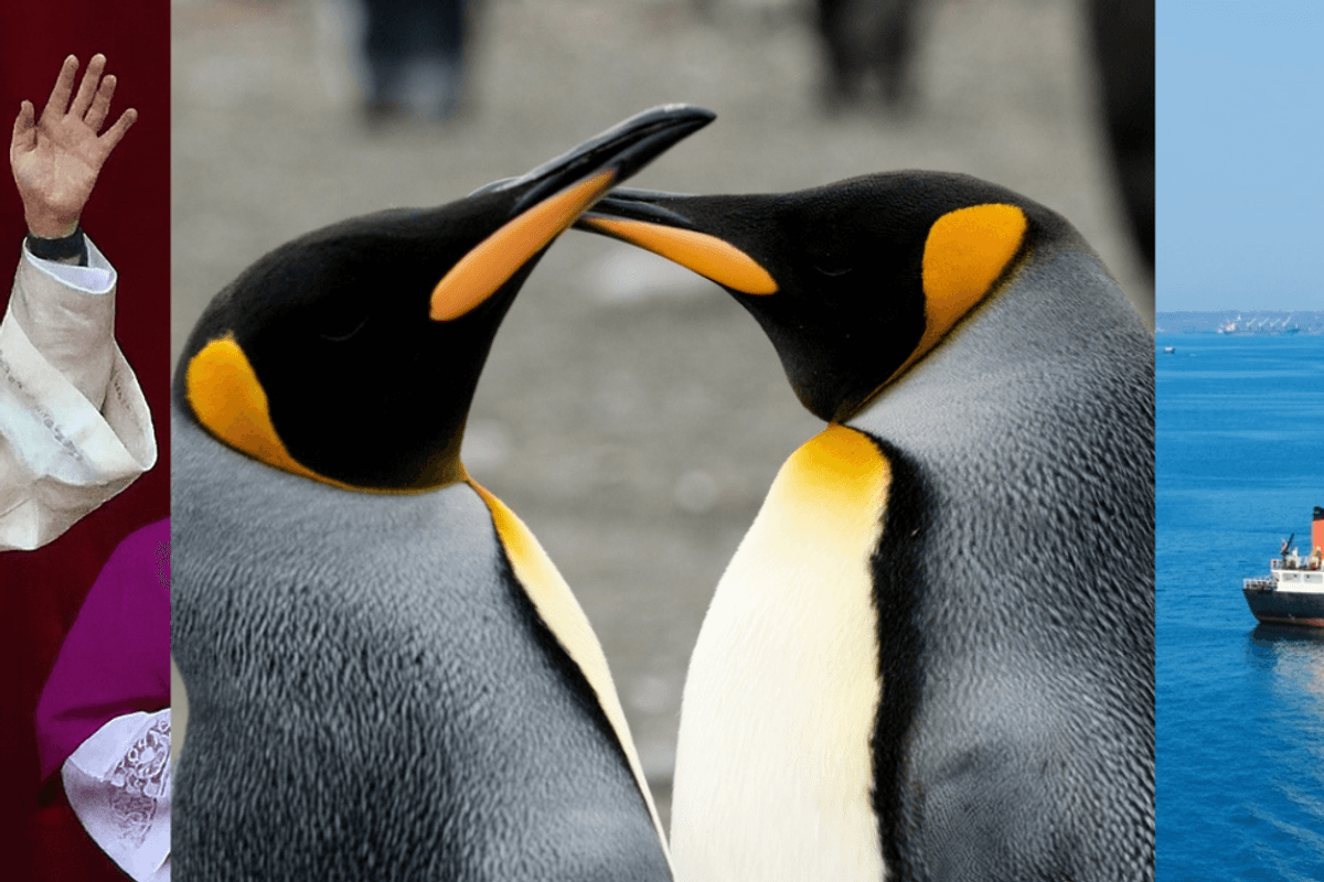 A pope, two penguins and ships filled with containers out at sea.