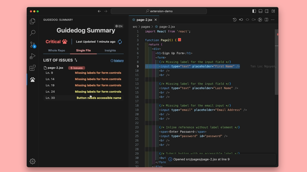 A screenshot of computer code. The screenshot shows a summary of accessibility errors found in the code.