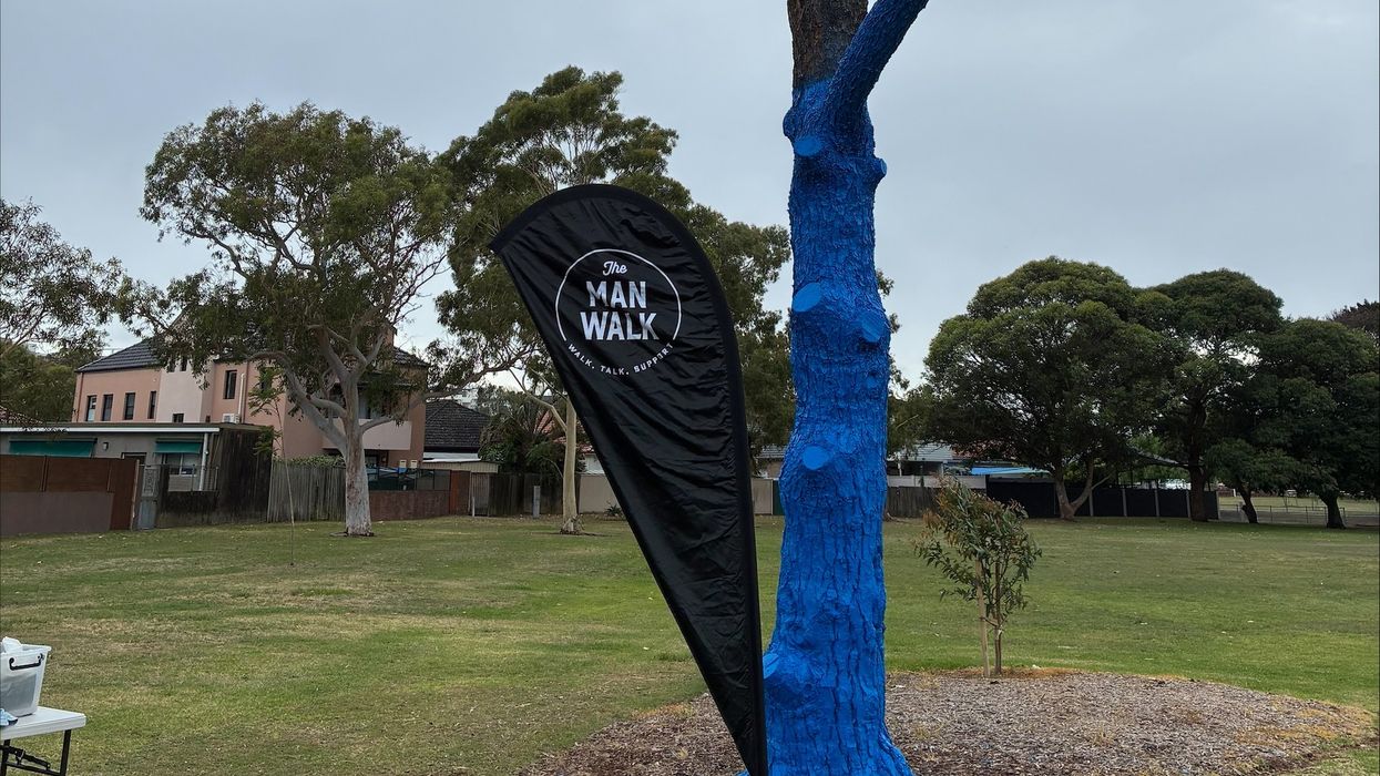 A tree painted blue in the middle of the park
