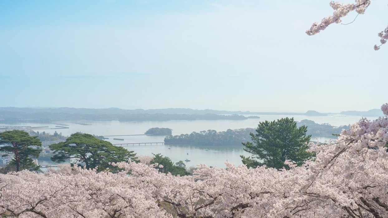 A view of Japan showing the sea and cherry blossoms