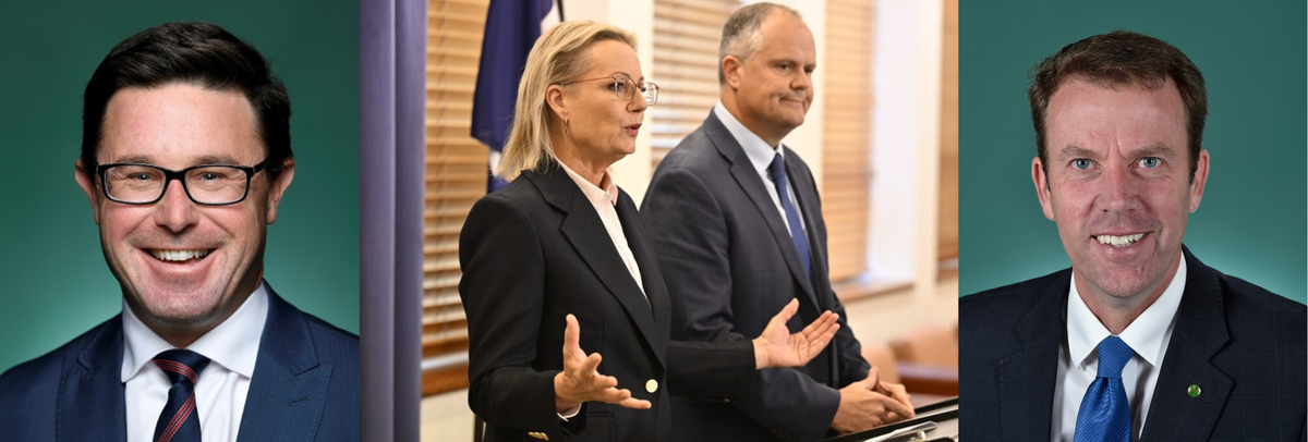 What is net zero and why has the Coalition ditched it?