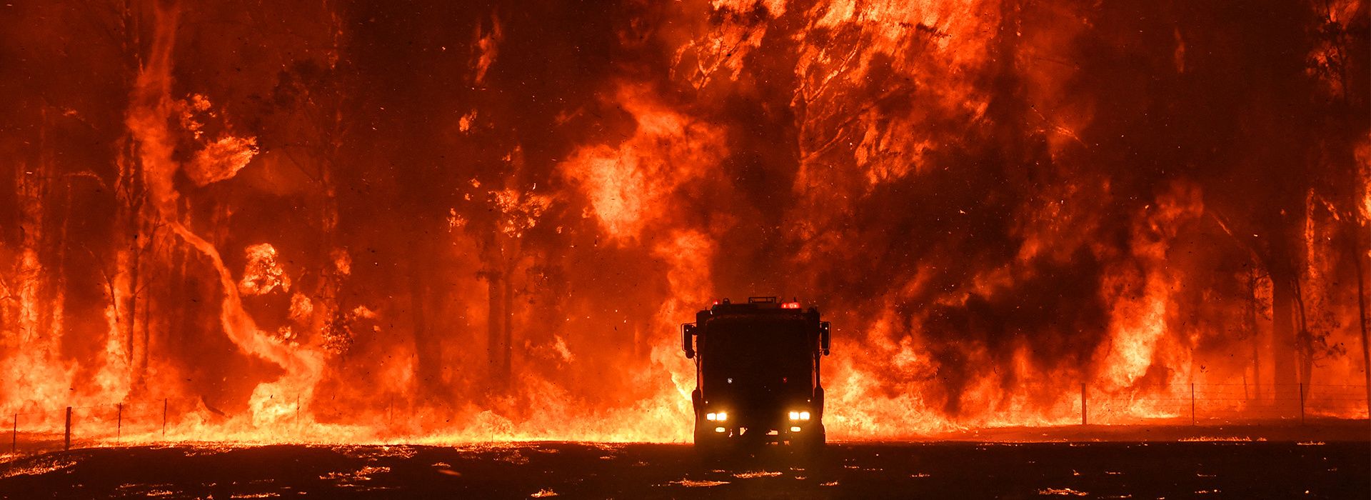 Bushfires give photojournalism fresh oxygen