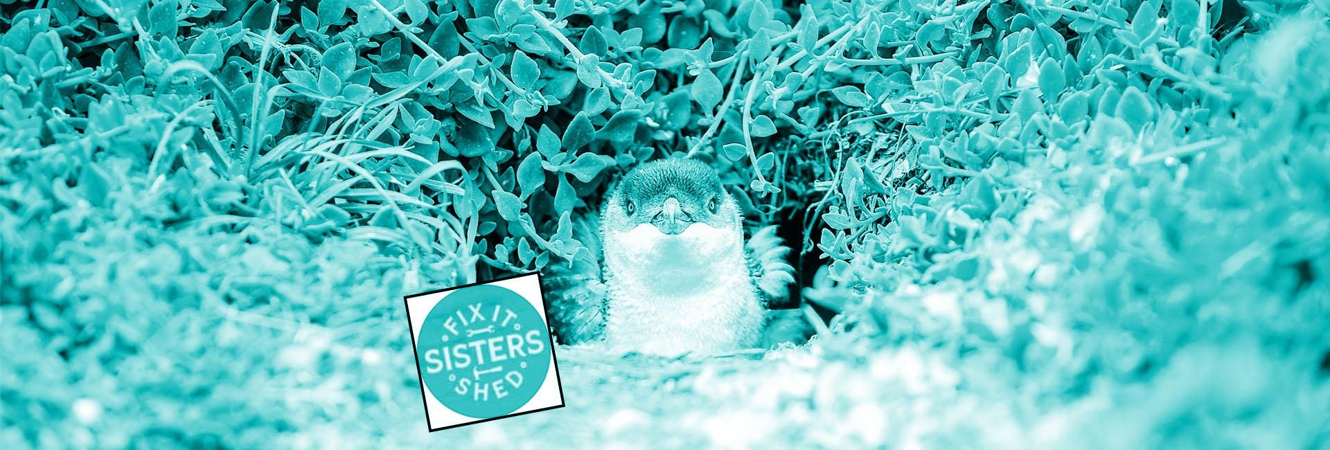 360/VR: After penguin burrows, Fix it Sisters are ready for anything