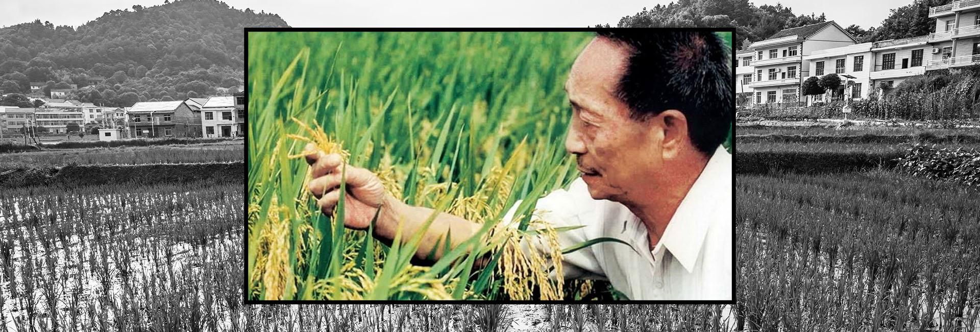 Yuan's life-long quest to end hunger