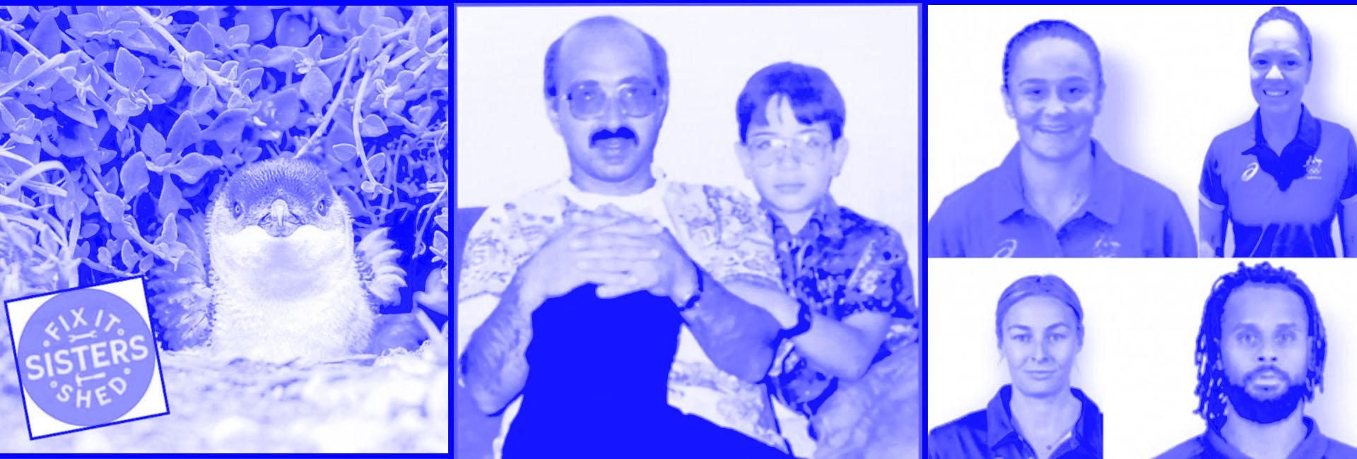 Newsworthy, UNSW students shine at 2021 Ossie awards