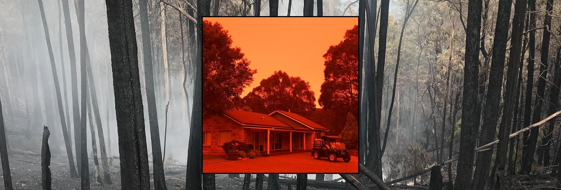 Long road to recovery after Black Summer trial by fire