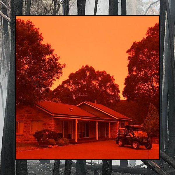 Long road to recovery after Black Summer trial by fire