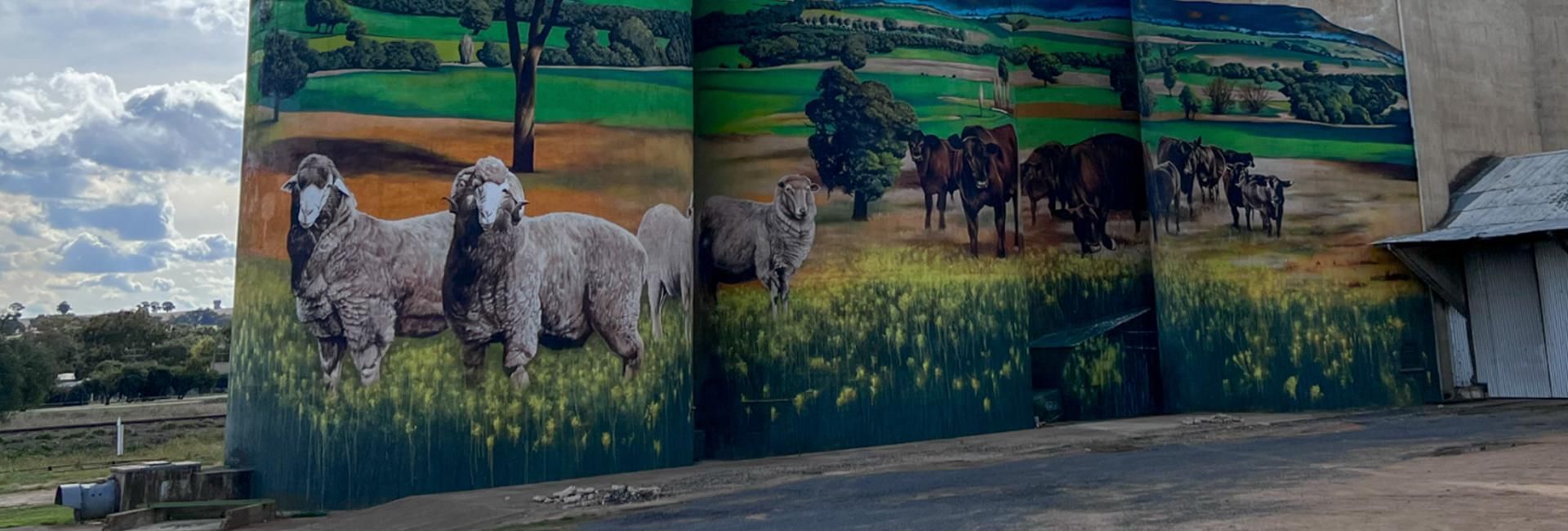 VR/360: Silo art reshapes historic town