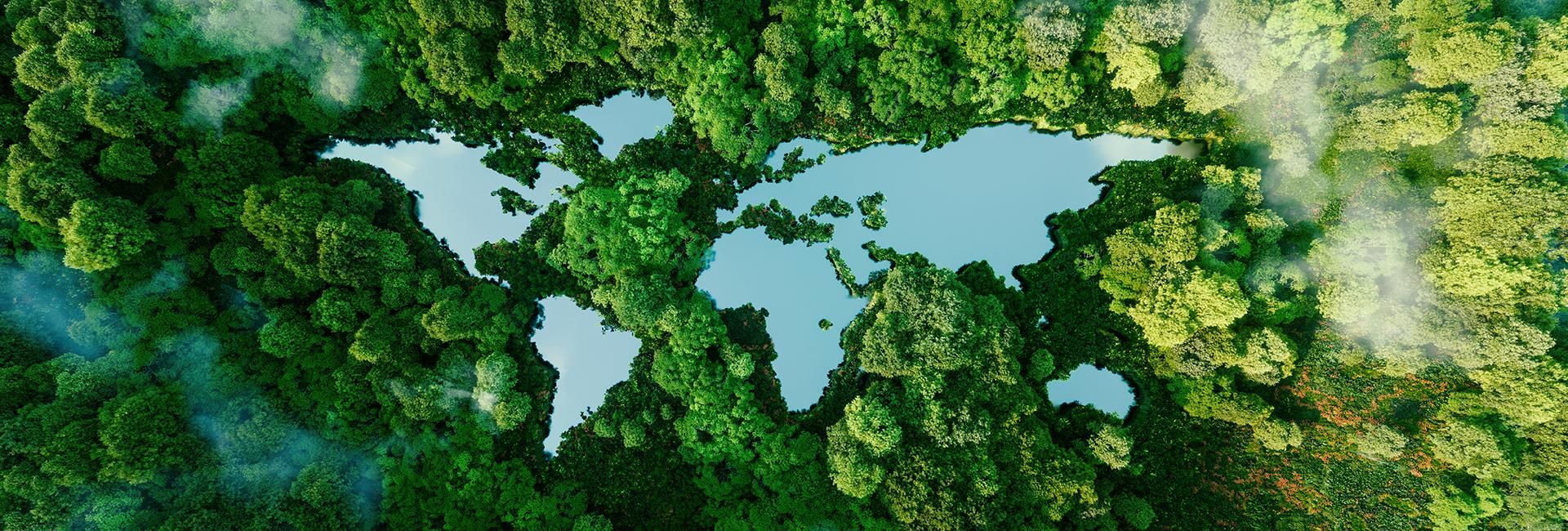 Comment: The one election promise Albanese must break