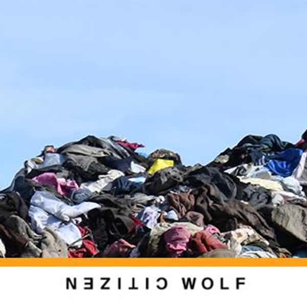 'Crazy idea': Fashion brand puts planet first