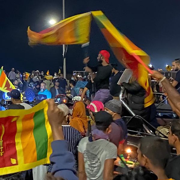 Explainer: Why 'organic' is a dirty word in Sri Lanka