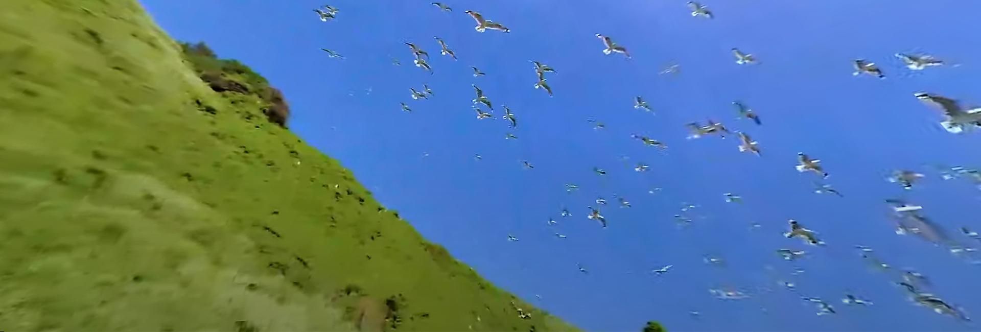 VR/360: 'Sky pirates' are a very human problem