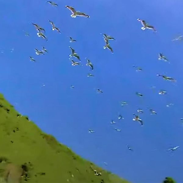 VR/360: 'Sky pirates' are a very human problem