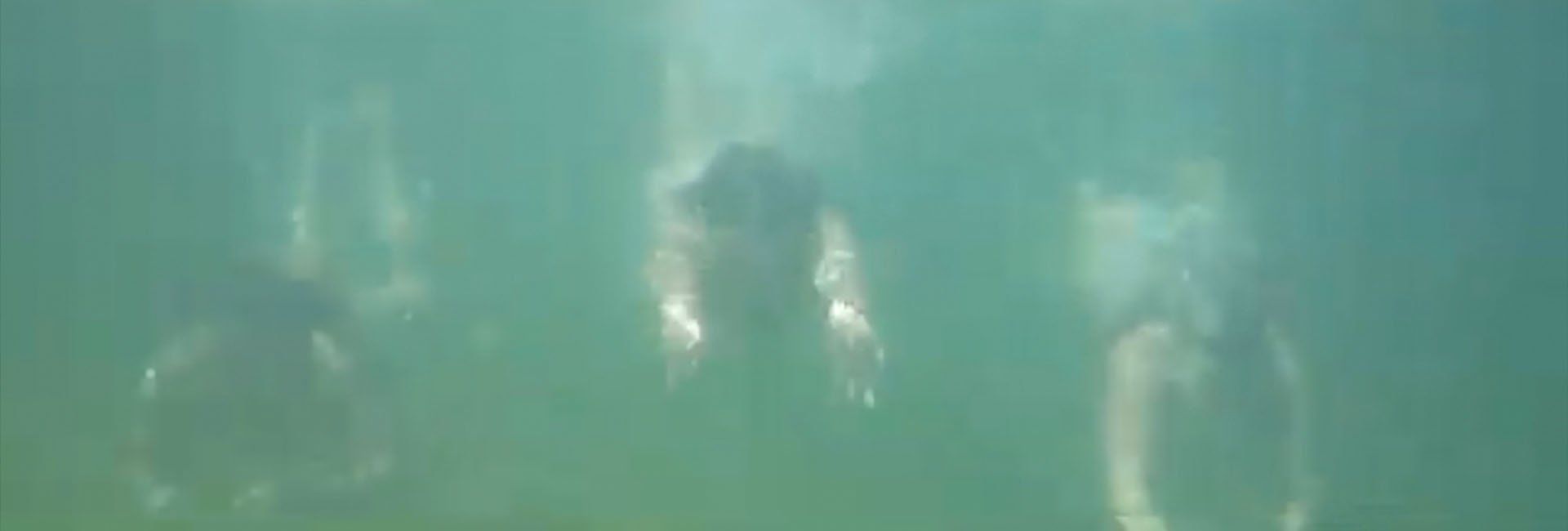 Documentary: How 'Saltwater Babies' keep anxiety at bay