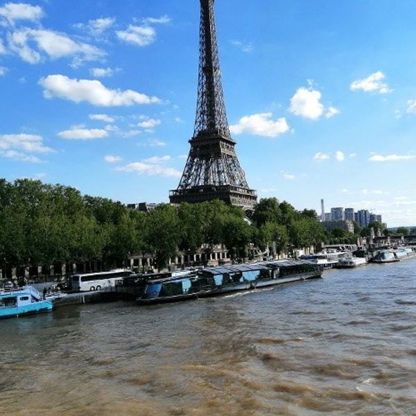 In Paris, dodging poo may be an Olympic event