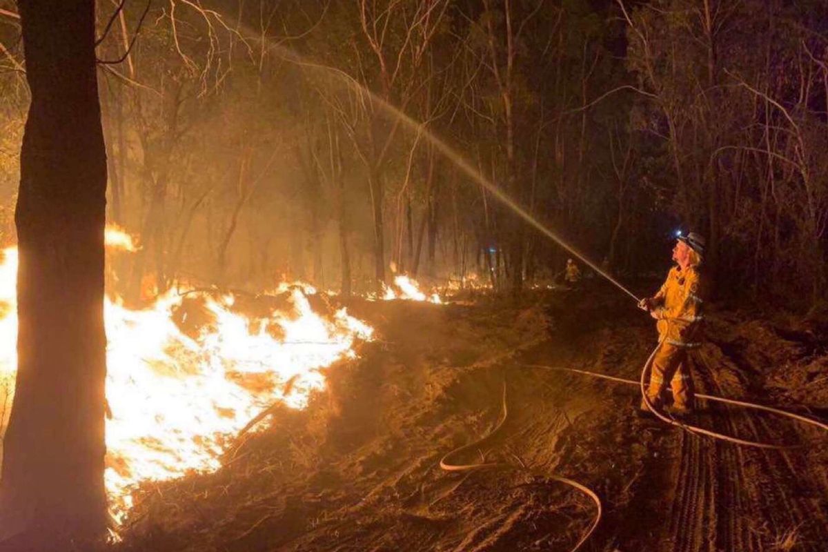 What we learnt from the Black Summer bushfires