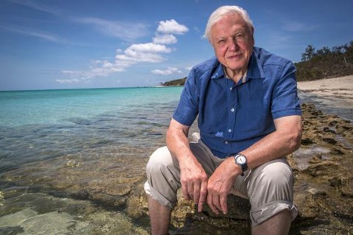 Attenborough turns 100, the Met Gala and interest rates rise