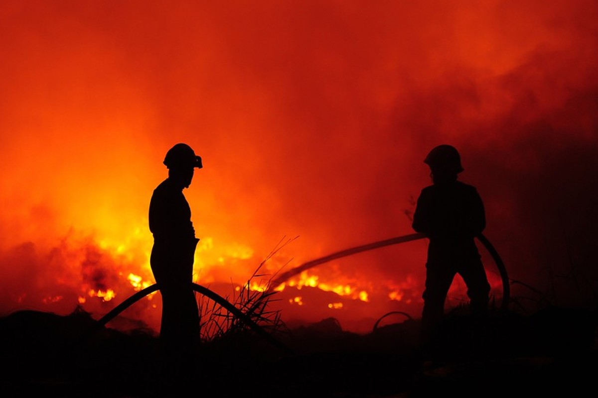 Europe burns, Jacinta's out and avo toast for everyone