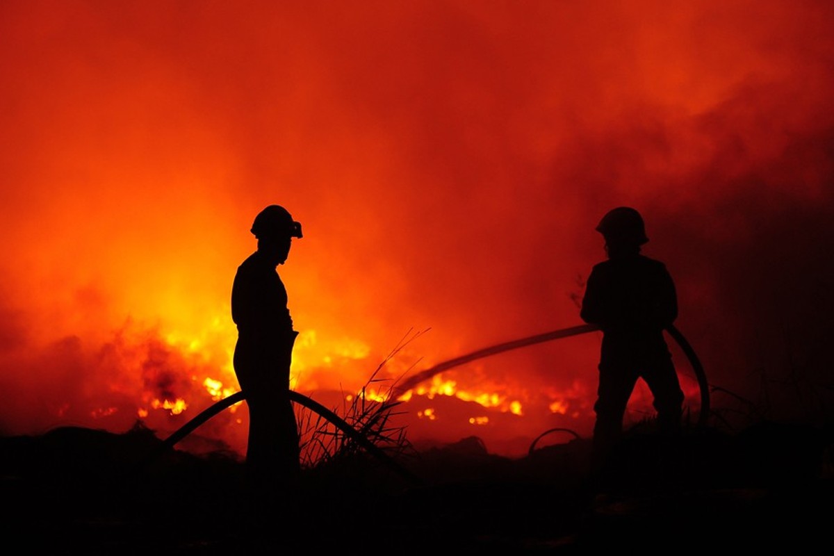 Europe burns, Jacinta's out and avo toast for everyone