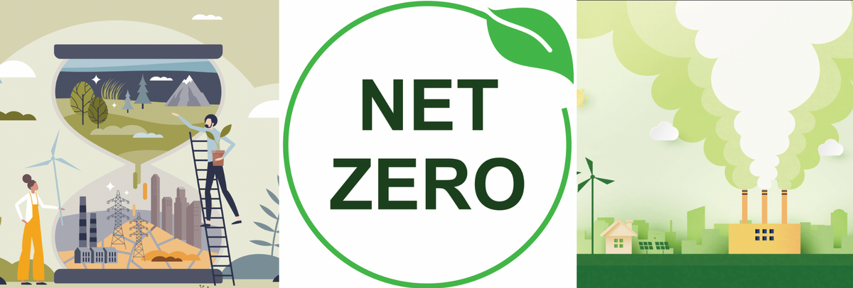 How young people are taking action to tackle the climate crisis