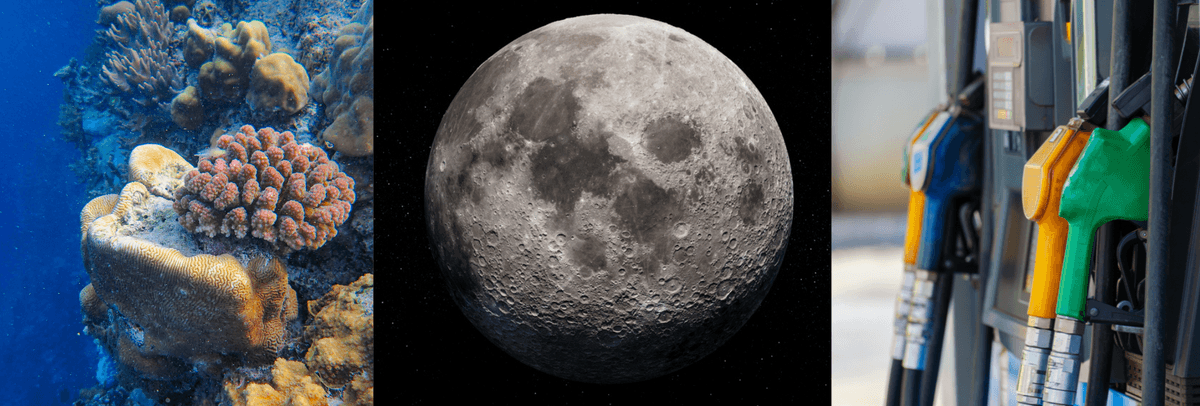 Nasa to the moon, scrapped surcharges and baby corals