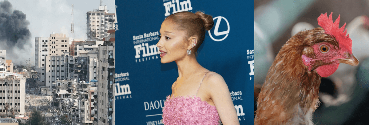 Ariana takes a break, Hamas to disarm and bird flu spreads