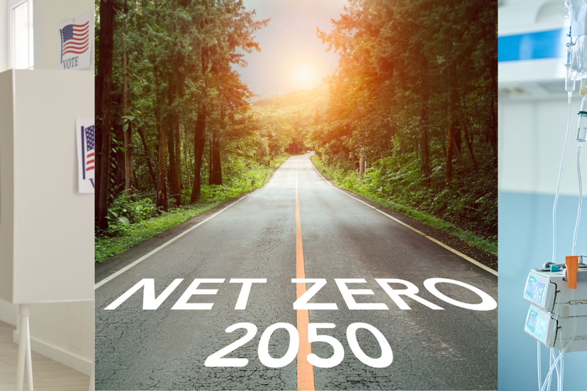 Democrats win, Nationals drop net-zero and free electricity for some