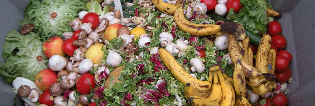 I’m sick of throwing good food in the bin. What can we do about it?