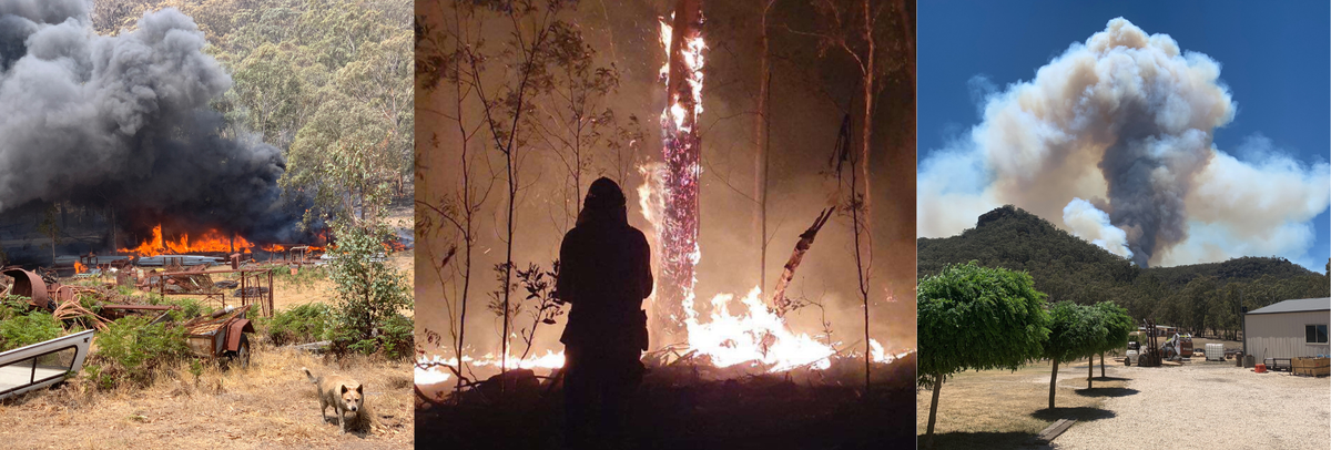 What we learnt from the Black Summer bushfires