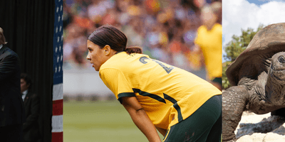 A man speaking at a lectern, a woman soccer player, a tortoise