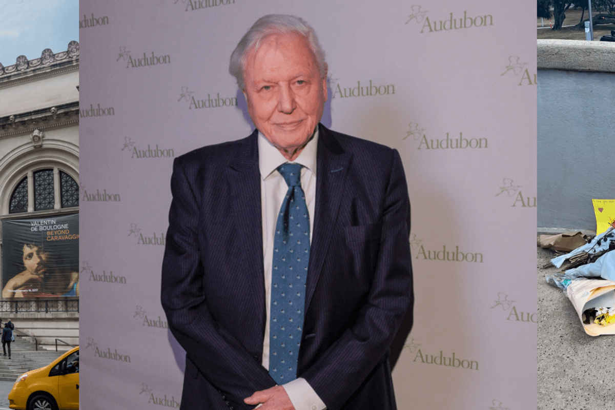 Attenborough turns 100, the Met Gala and interest rates rise