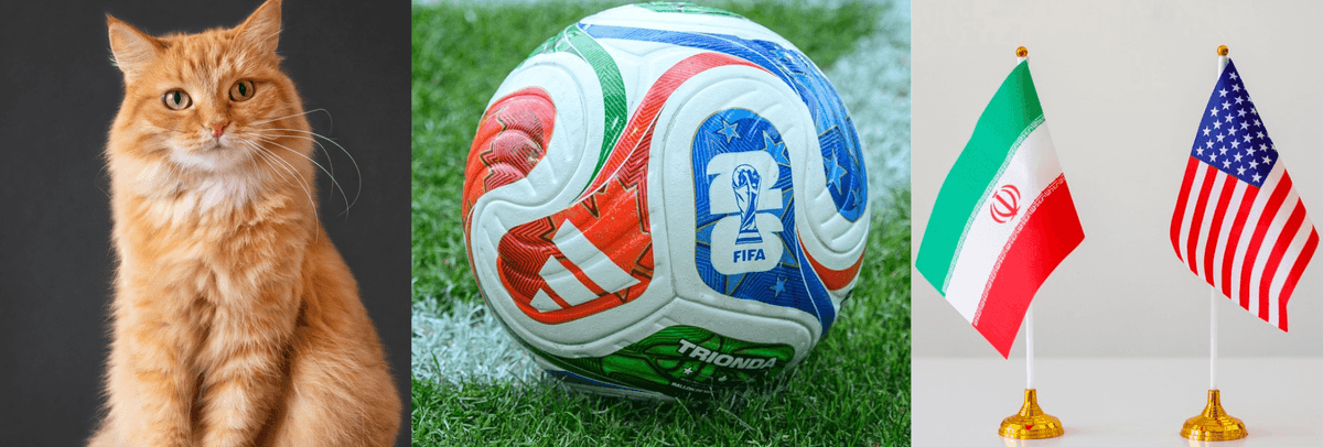 World Cup kick off, Middle East peace deal and a naughty cat