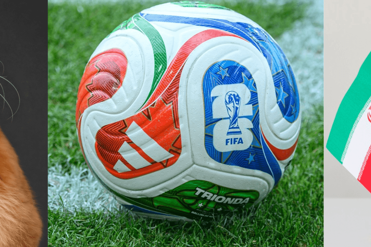 World Cup kick off, Middle East peace deal and a naughty cat