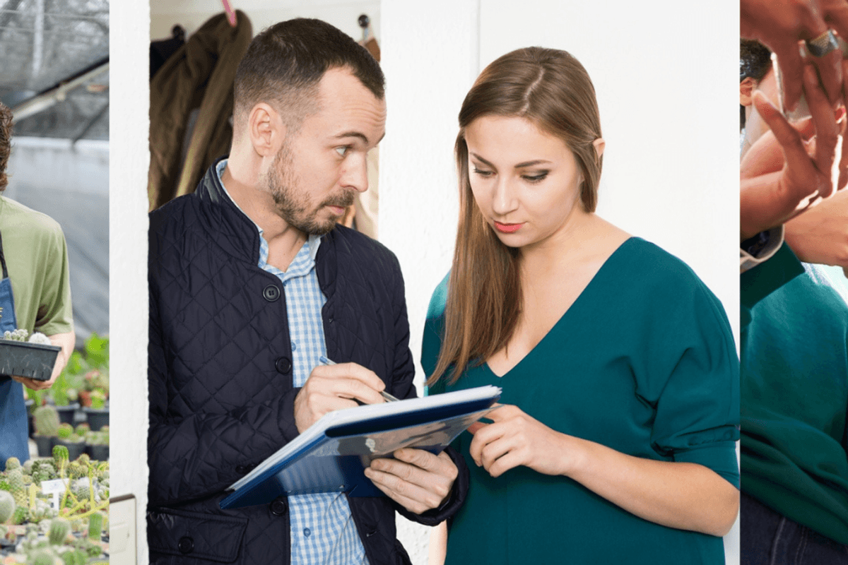 Jedis and sexual orientation: why this year’s census really matters – All Caught Up podcast