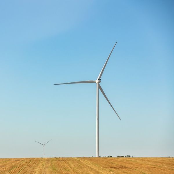 Liberals ditch net zero, more Epstein docs, BBC exits