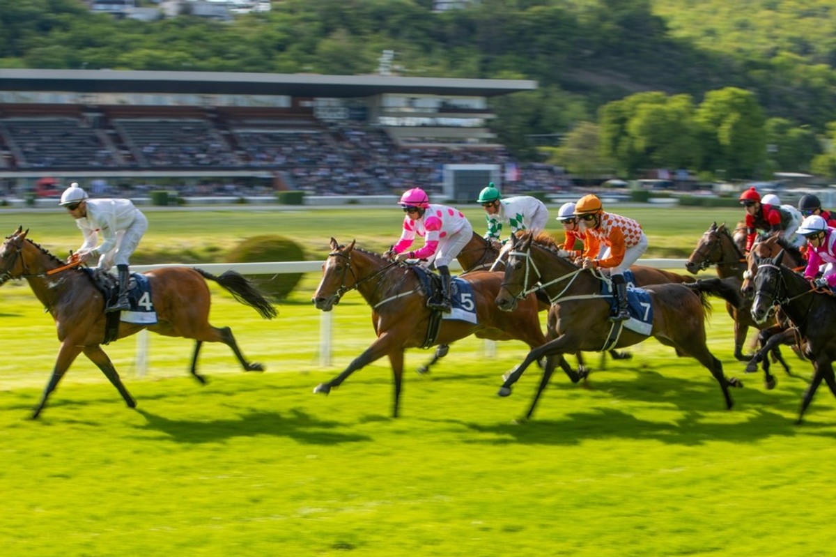 No pokies, no gambling, no problem: The people saying nup to the Cup