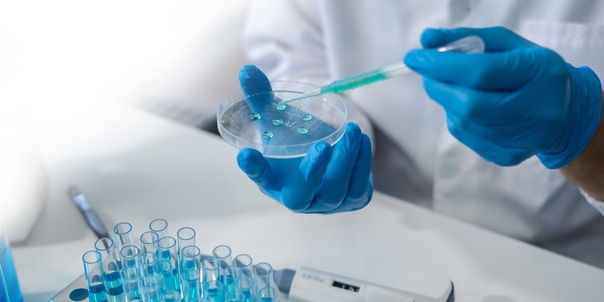 Two gloved hands holding a petri dish with liquid in it